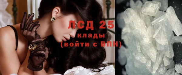 индика Абинск