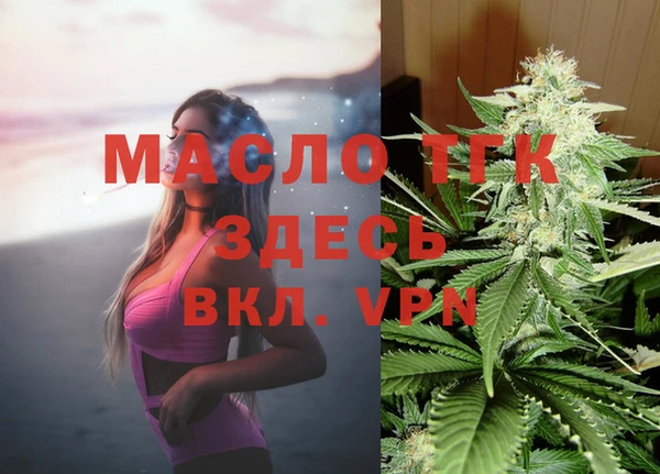 индика Абинск