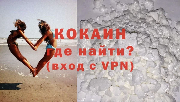 индика Абинск