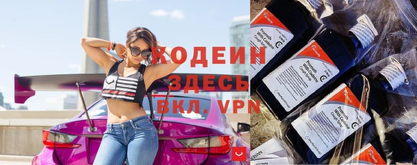индика Абинск