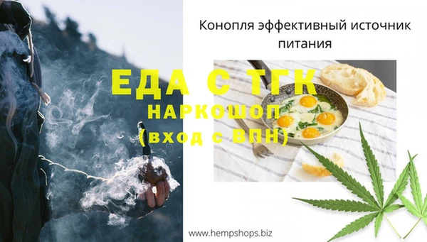индика Абинск