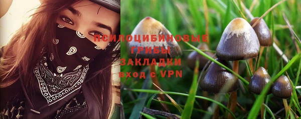 Альфа ПВП Абаза