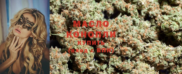 индика Абинск